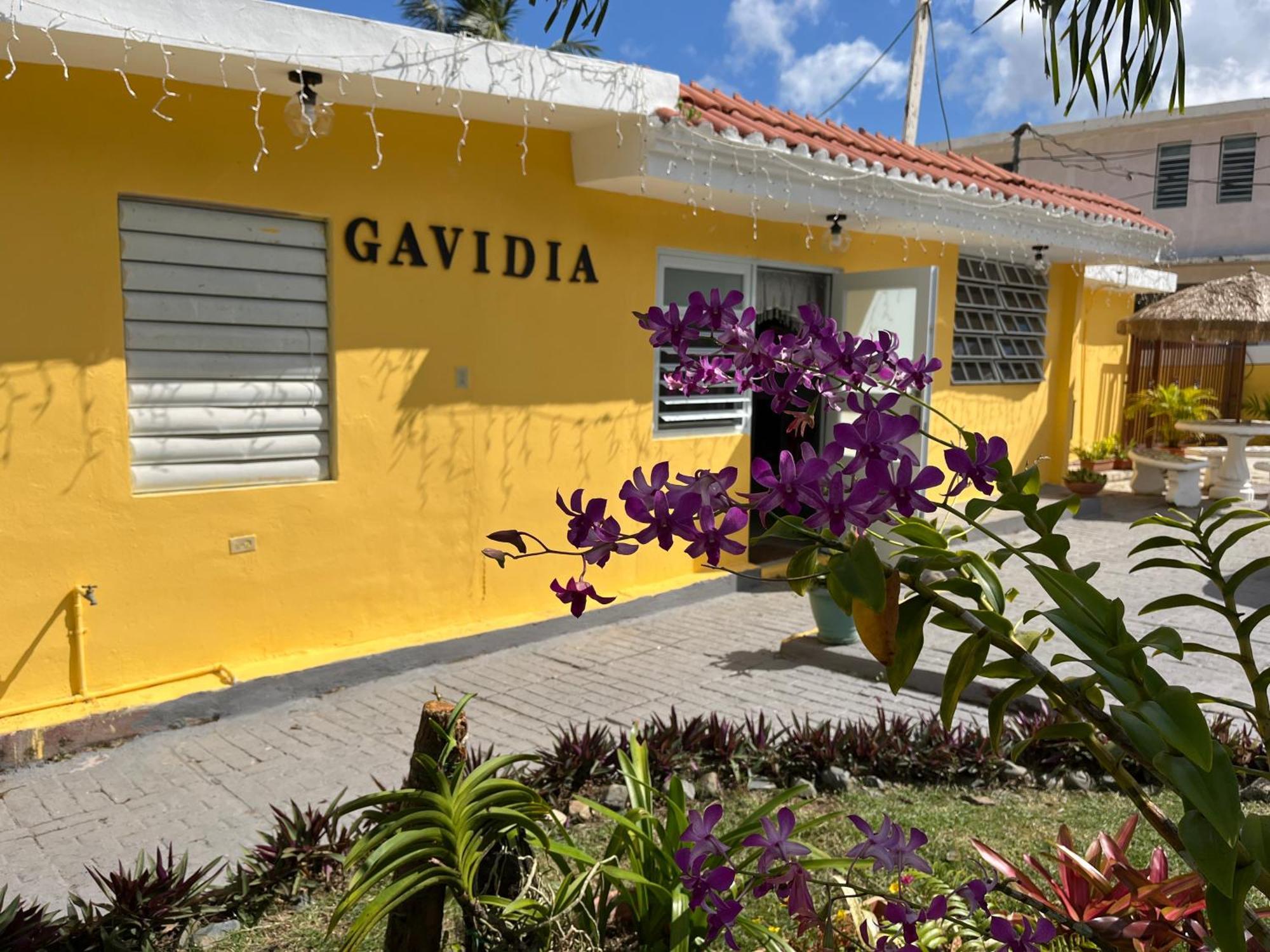Gavidias Guest House San Lorenzo Екстер'єр фото